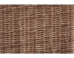 Ashley Beachcroft Outdoor Chair With Cushion -Ashley ASHY390872 E