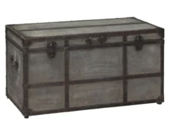 Ashley Amsel Storage Trunk