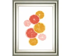 Classy Art Festive Fruit II 22X26