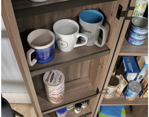 Sauder HomePlus Salt Oak Storage Cabinet 4 Sauder HomePlus Salt Oak Storage Cabinet - Image 4