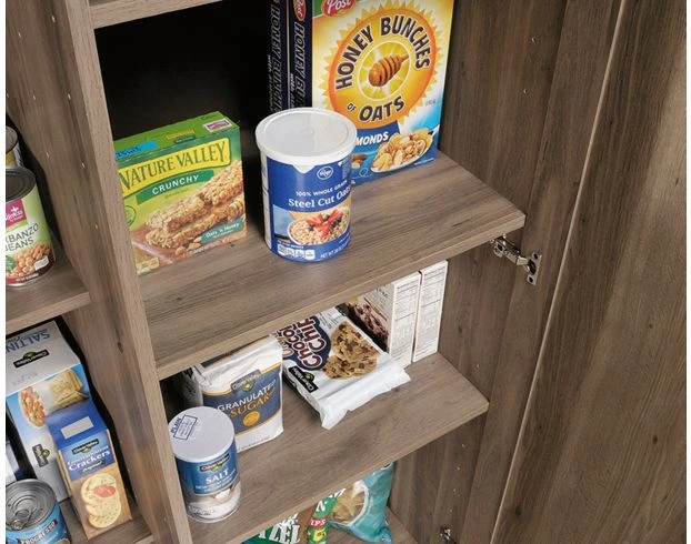 Sauder HomePlus Salt Oak Storage Cabinet 5 Sauder HomePlus Salt Oak Storage Cabinet - Image 5